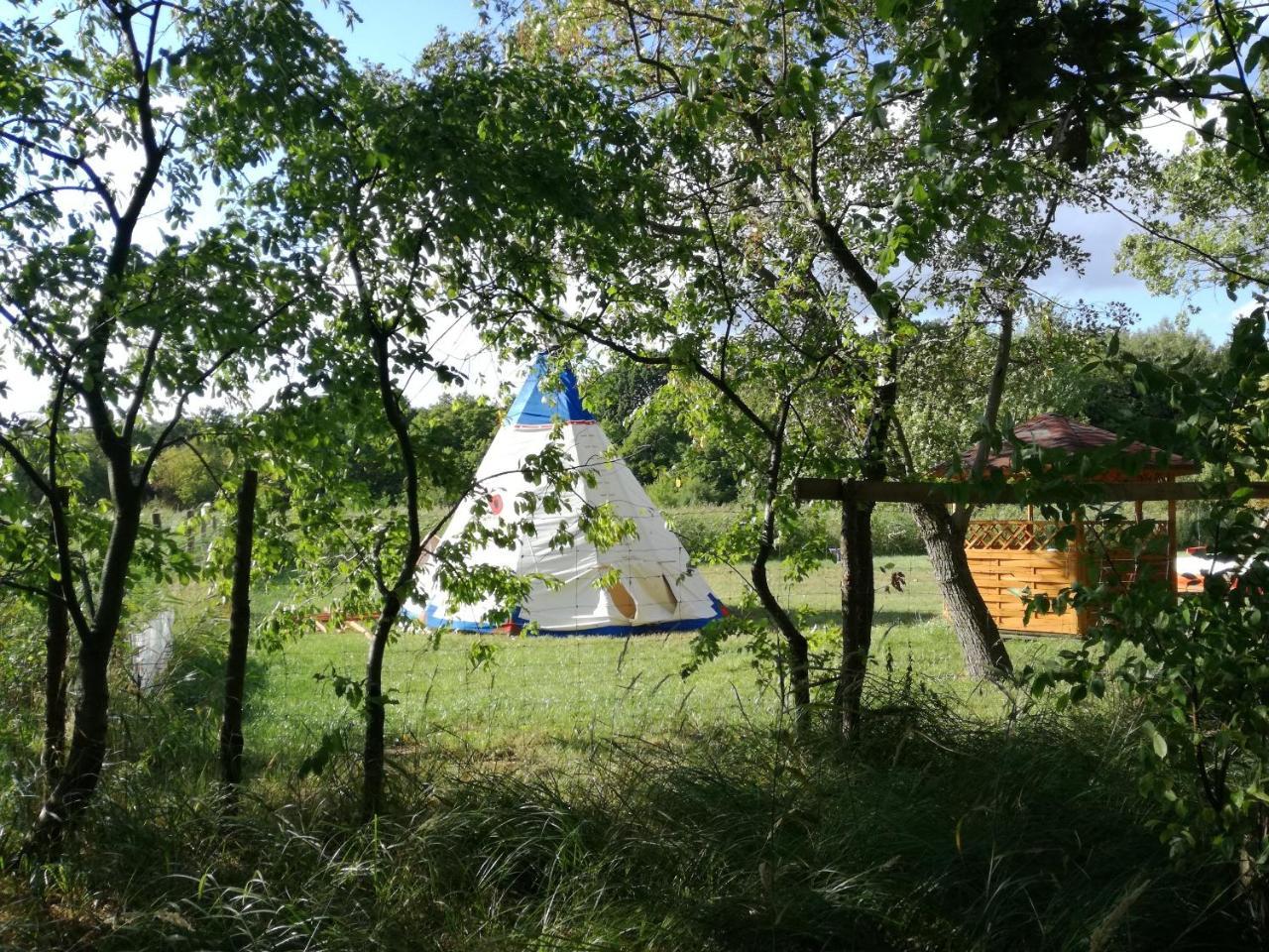 Glamping Podgrodzie Hotel Nowe Warpno Exterior photo